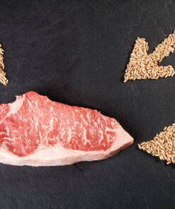 Wagyu - Das Highlight